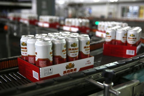 餐桌上的食品安全無小事 走進沈陽綠色工廠，探訪神秘的啤酒酵母生產線