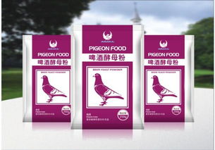 啤酒酵母粉 自然營養(yǎng)，活力之選